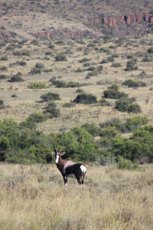 Willa Ko Ka Tsara Bush Camp Beaufort West Zewnętrze zdjęcie