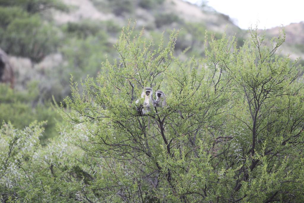 Willa Ko Ka Tsara Bush Camp Beaufort West Zewnętrze zdjęcie